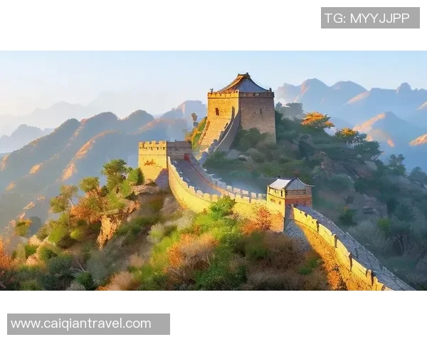 篮球明星长城的传奇之旅与中国文化的深度融合探索
