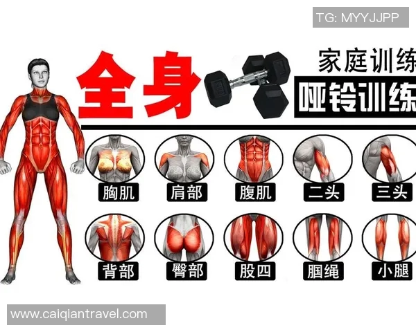 跑步结合哑铃训练能有效瘦胳膊的科学原理与方法解析
